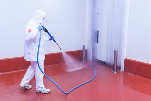 Reliable Shelbyville, TN  Pressure Washing Services Solutions